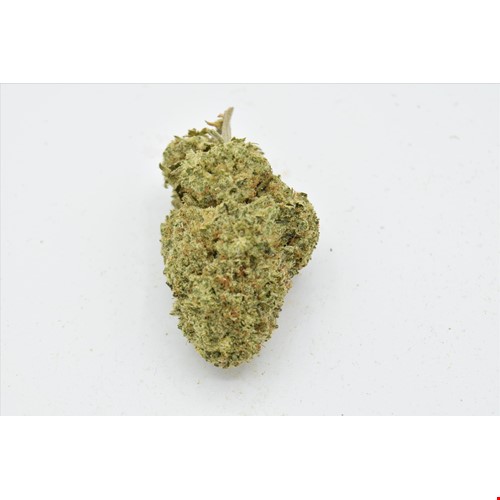 cactus breath.jpg